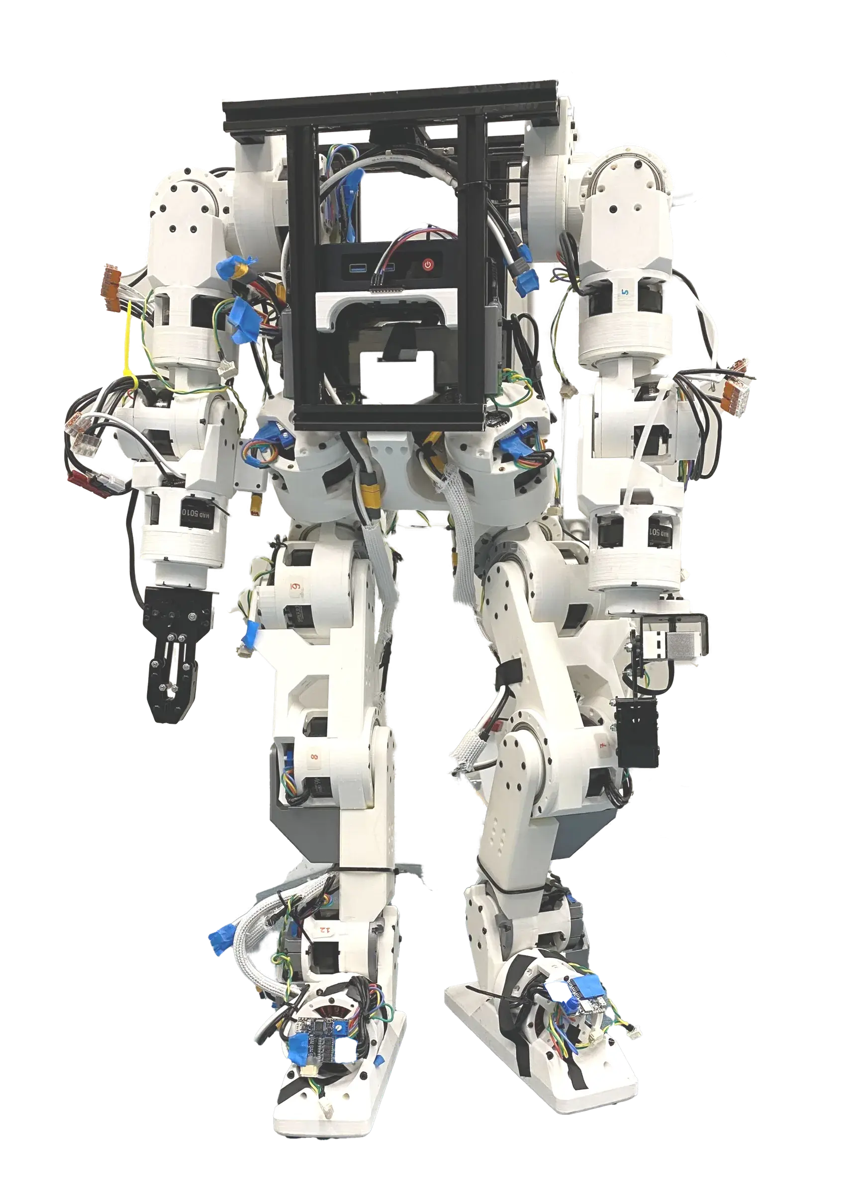 Berkeley Humanoid Lite debout, robot humanoïde open source imprimé en 3D