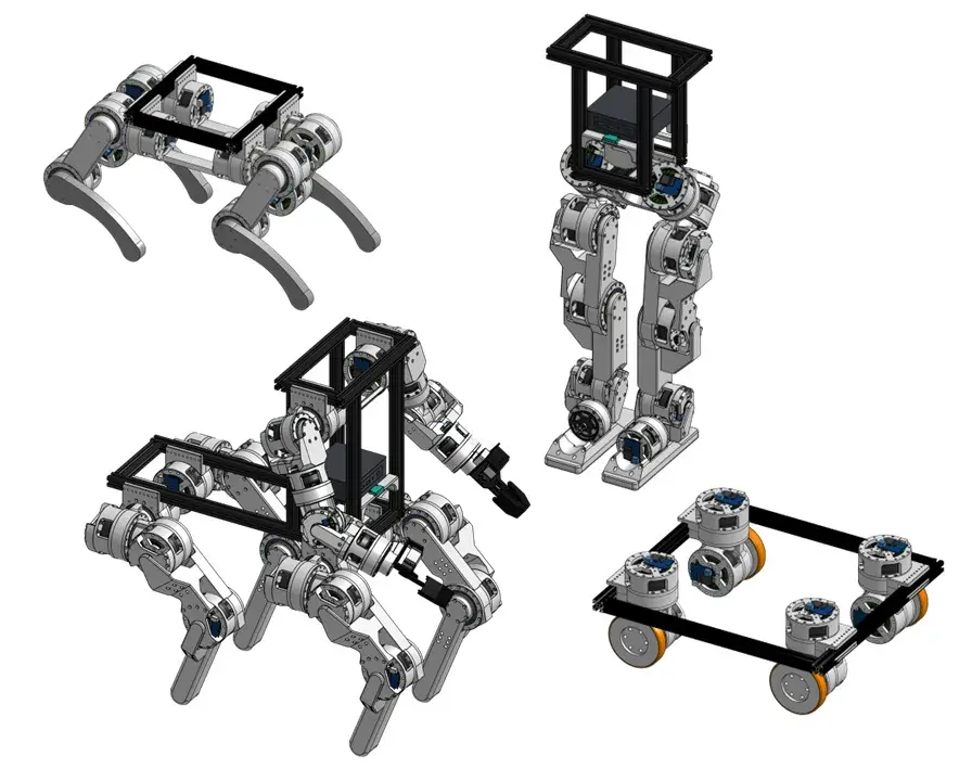 Plusieurs morphologies proposées à partir des actionneurs modulaires Berkeley Humanoid Lite