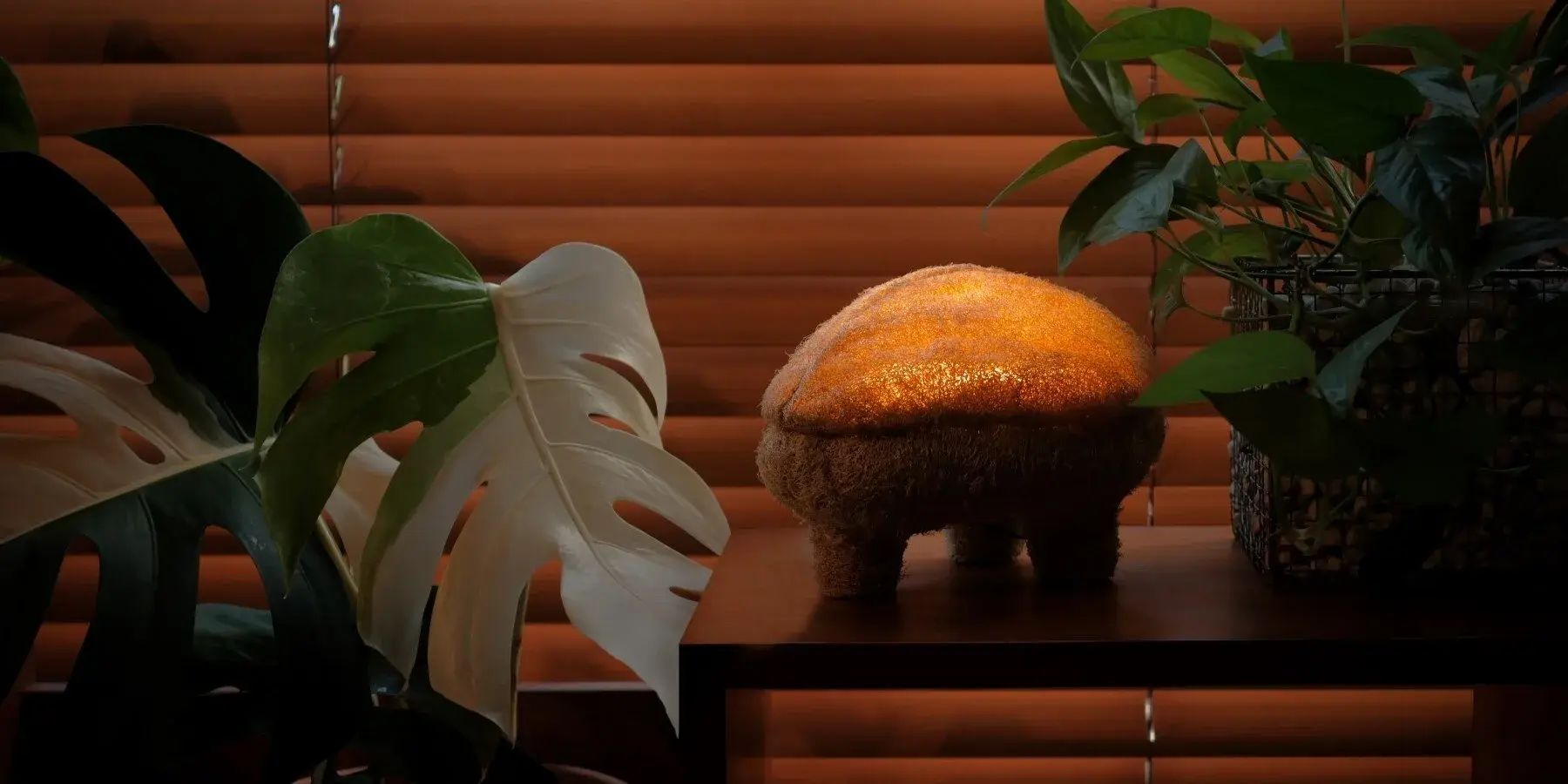 Lampe GOURDO allumée, avec une base claire en composite de mycélium et une enveloppe fibreuse en luffa