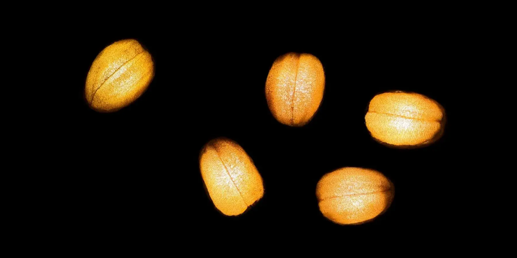 Vue de la lampe GOURDO montrant la texture irrégulière du composite et de la luffa