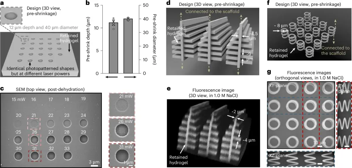 Validation de géométries complexes par implosion carving, notamment structure inspirée d’une aile de Morpho et hélice 3D