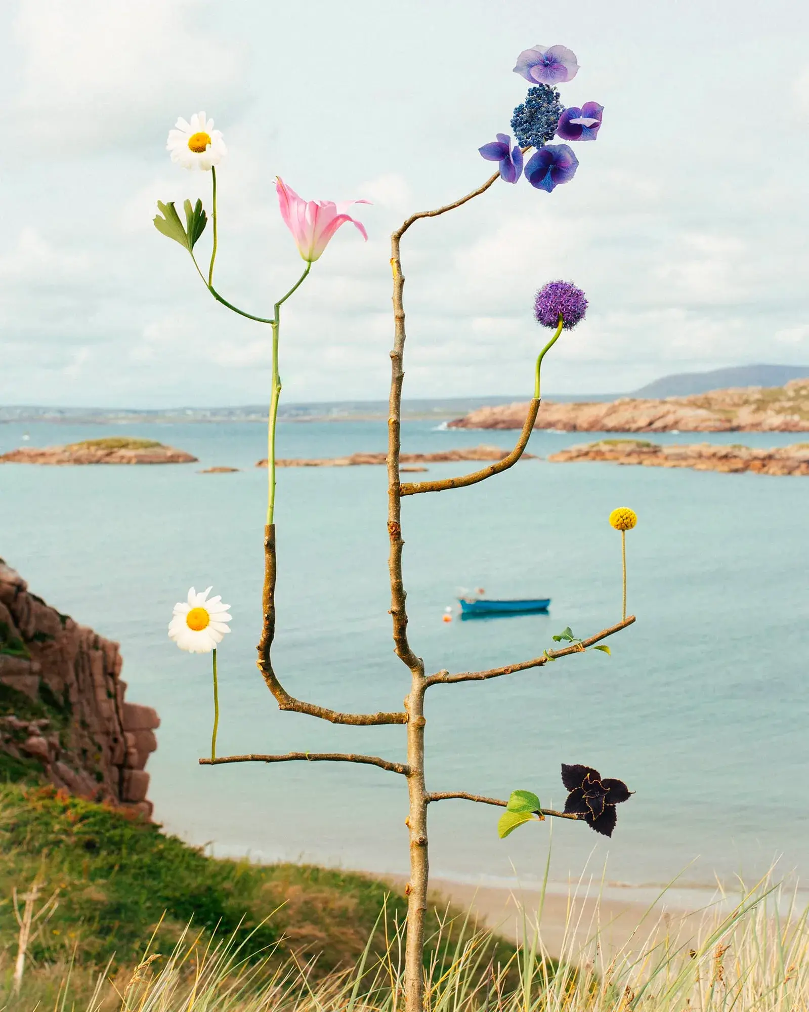 Sculpture florale Bound Species de Jennifer Latour photographiée dans un paysage naturel