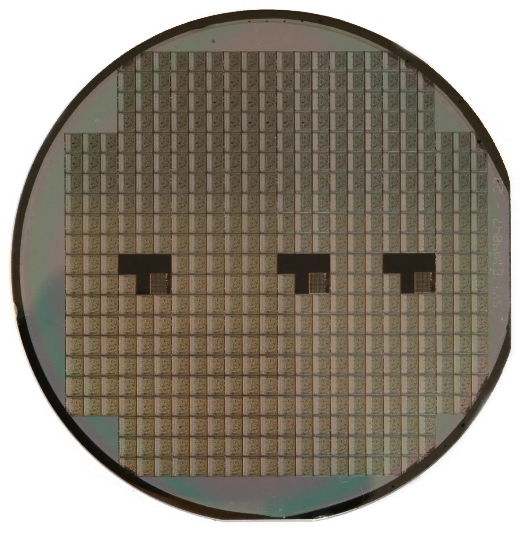 Photographie rapprochée d’un wafer de silicium couvert de circuits