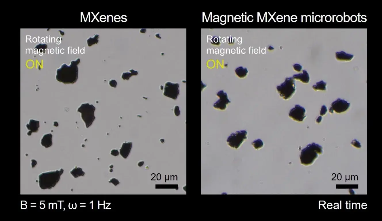 Image d'illustration des flocons magnétiques MXene utilisés pour capter les microplastiques