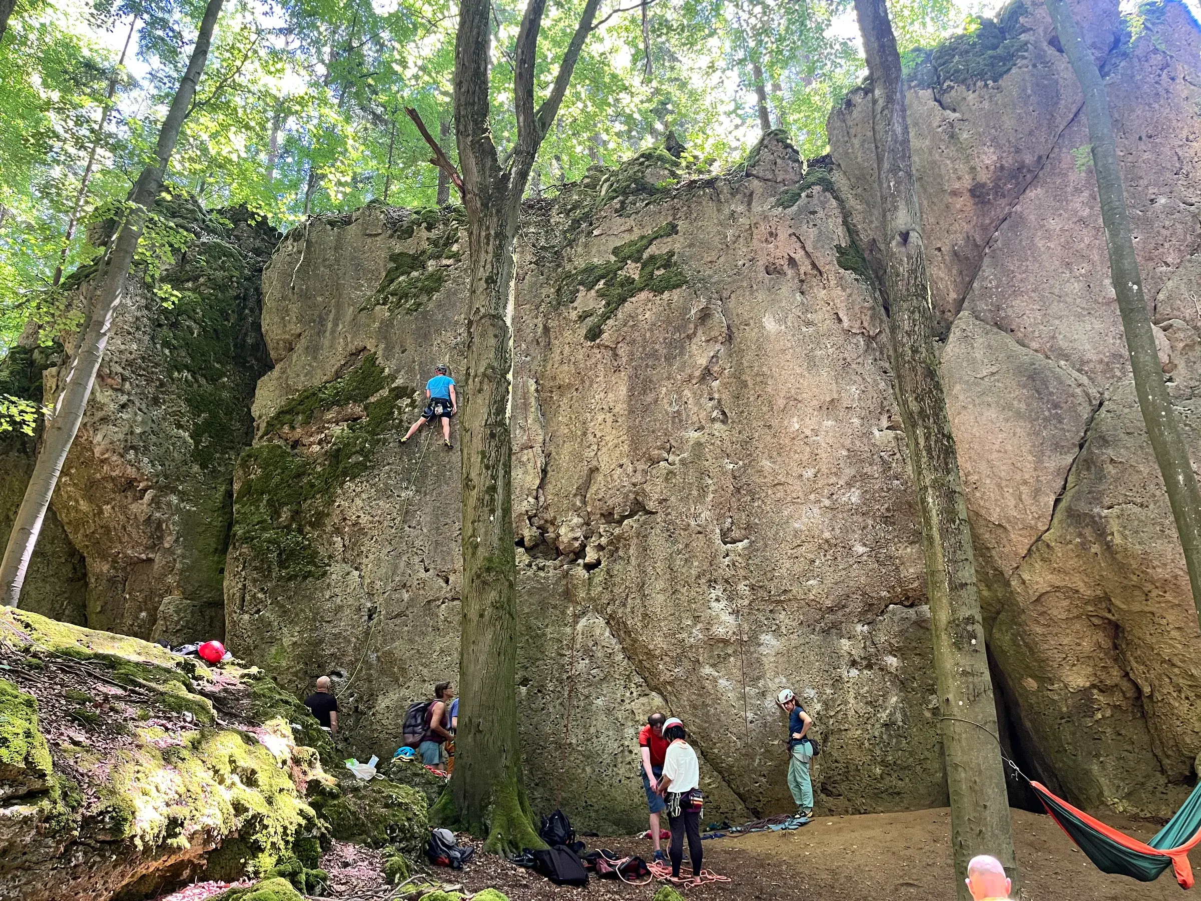 Falaise de Fuchsbau dans le Frankenjura, référencée dans OpenClimbing
