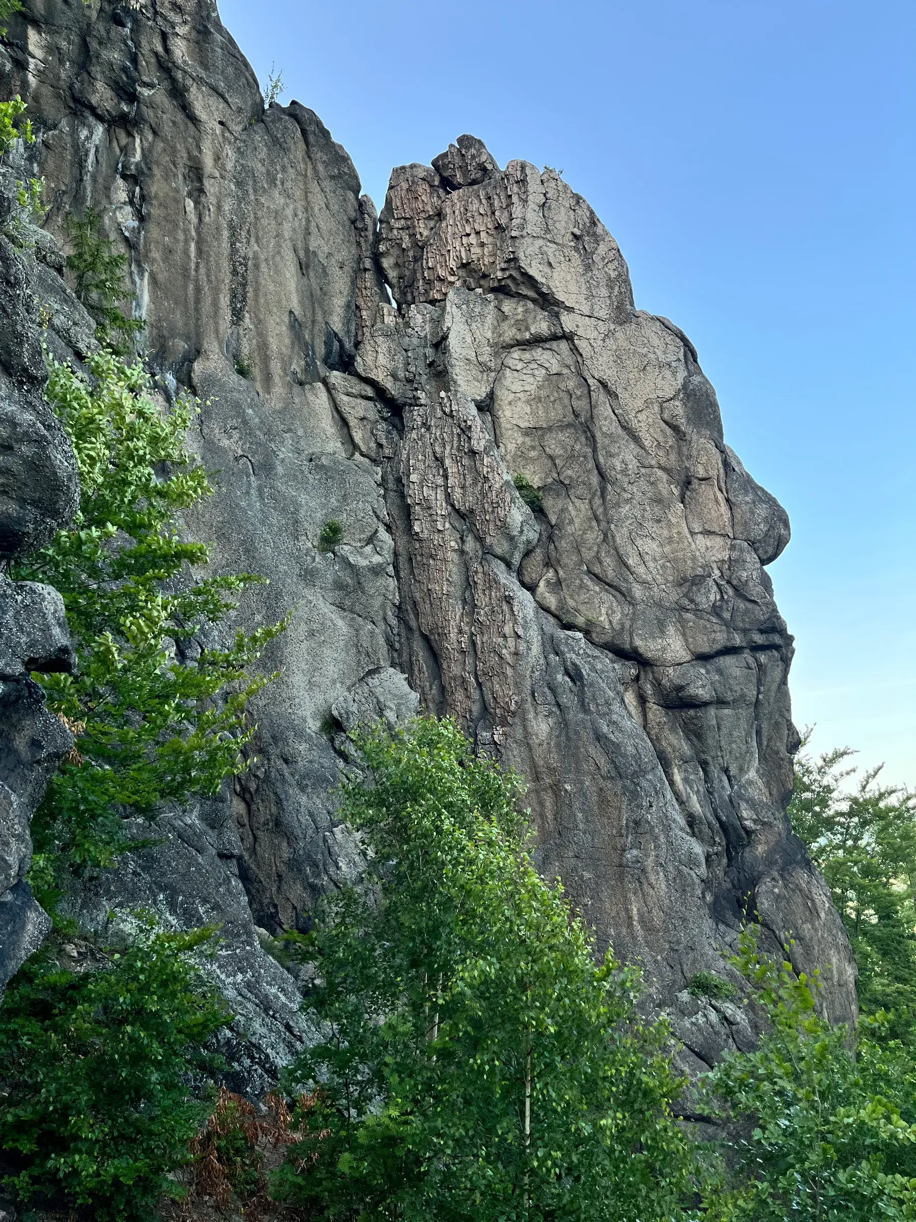 Falaise de Sokolik Mały en Pologne, photographiée pour une relation OpenClimbing